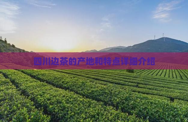 四川边茶的产地和特点详细介绍