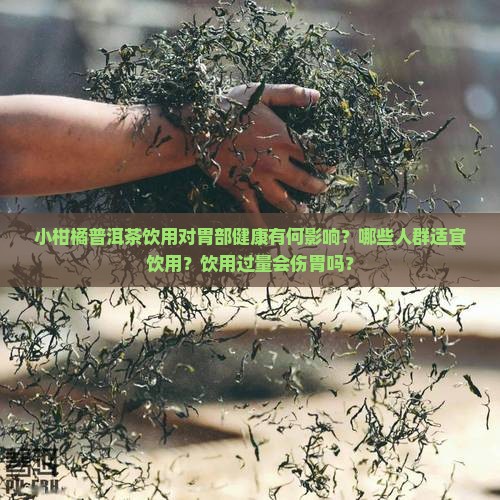小柑橘普洱茶饮用对胃部健康有何影响？哪些人群适宜饮用？饮用过量会伤胃吗？