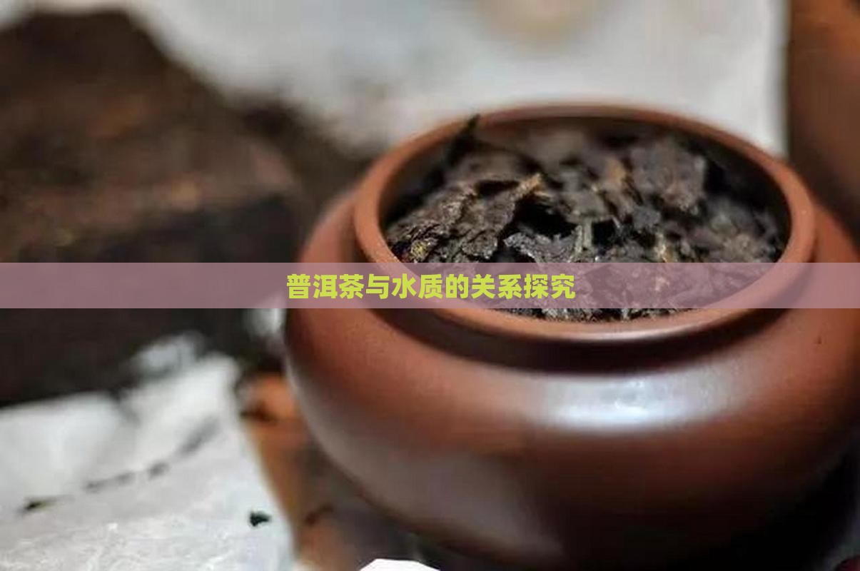 普洱茶与水质的关系探究