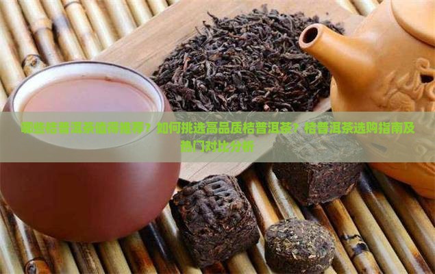 哪些桔普洱茶值得推荐？如何挑选高品质桔普洱茶？桔普洱茶选购指南及热门对比分析