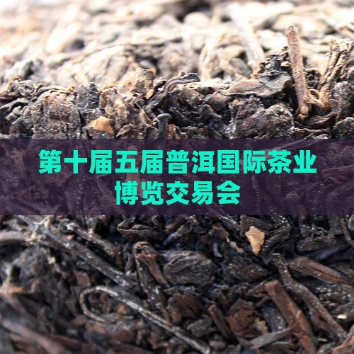 第十届五届普洱国际茶业博览交易会