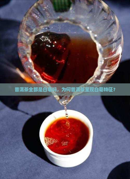 普洱茶全部是白毫吗，为何普洱茶呈现白毫特征？