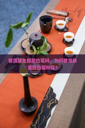 普洱茶全部是白毫吗，为何普洱茶呈现白毫特征？