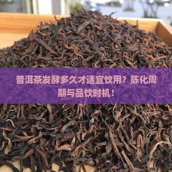 普洱茶发酵多久才适宜饮用？陈化周期与品饮时机！