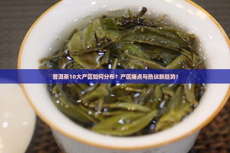 普洱茶10大产区如何分布？产区痛点与热议新趋势！