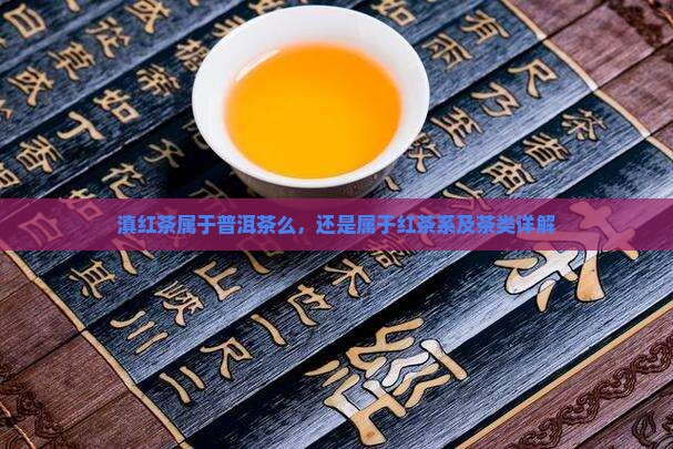 滇红茶属于普洱茶么，还是属于红茶系及茶类详解