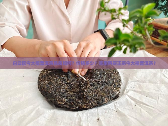 白云区今大福普洱茶品质如何？价格多少？哪里购买正宗今大福普洱茶？