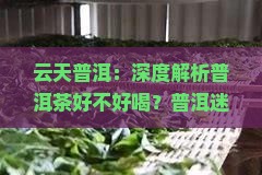 云天普洱:深度解析普洱茶好不好喝?普洱迷必看指南 云天普洱:深度解析普洱茶好不好喝?普洱迷必看指南
