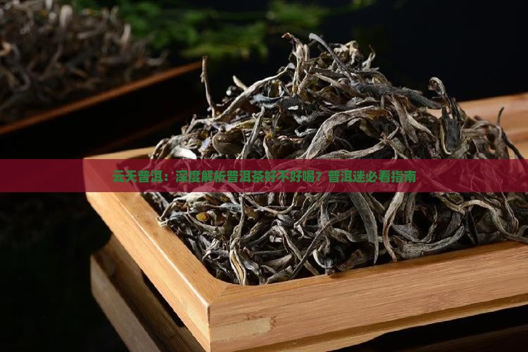 云天普洱:深度解析普洱茶好不好喝?普洱迷必看指南 云天普洱:深度解析普洱茶好不好喝?普洱迷必看指南