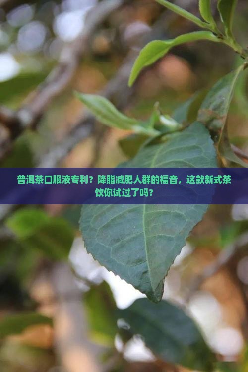 普洱茶口服液专利？降脂减肥人群的福音，这款新式茶饮你试过了吗？