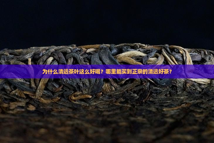 为什么清远茶叶这么好喝？哪里能买到正宗的清远好茶？