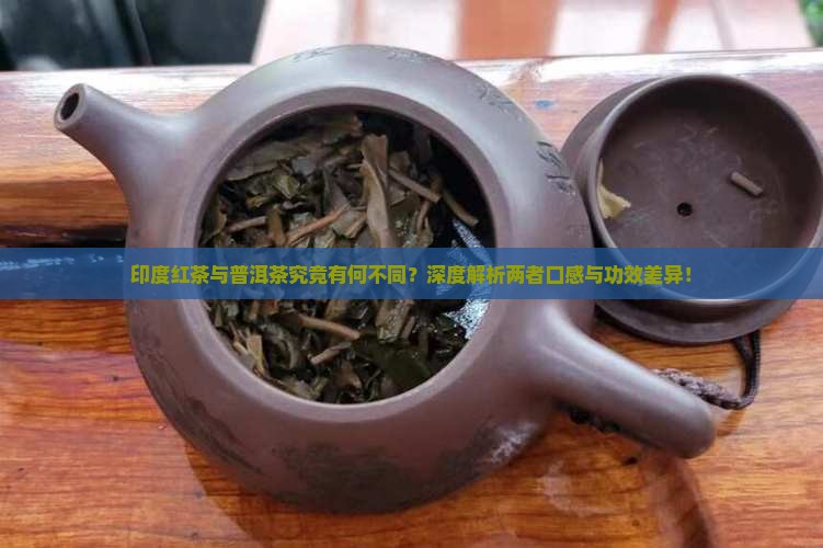 印度红茶与普洱茶究竟有何不同？深度解析两者口感与功效差异！