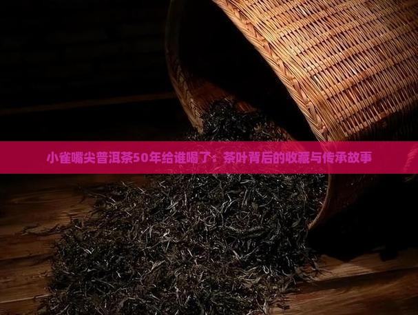 小雀嘴尖普洱茶50年给谁喝了：茶叶背后的收藏与传承故事