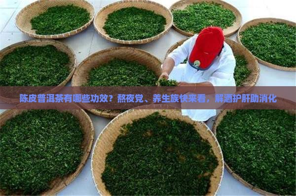 陈皮普洱茶有哪些功效？熬夜党、养生族快来看，解酒护肝助消化