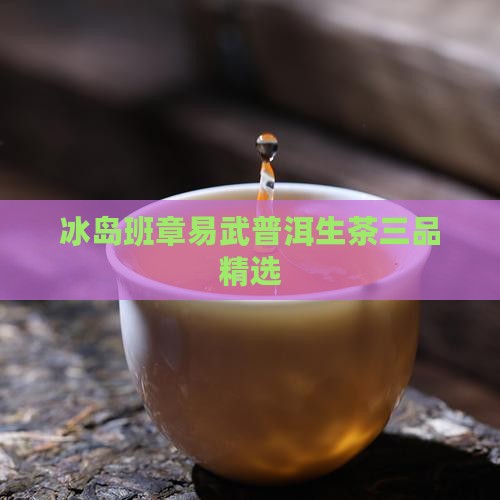 冰岛班章易武普洱生茶三品精选