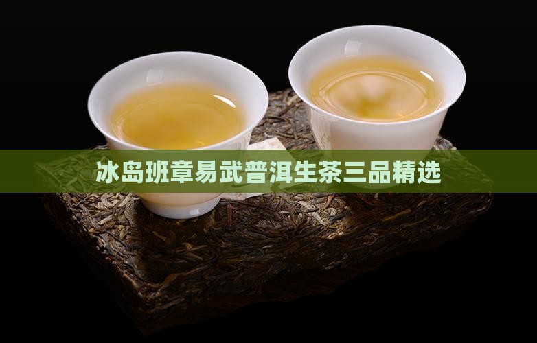 冰岛班章易武普洱生茶三品精选