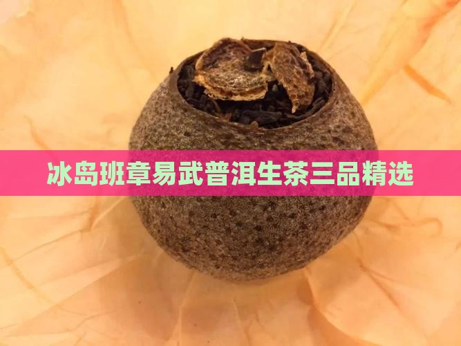 冰岛班章易武普洱生茶三品精选