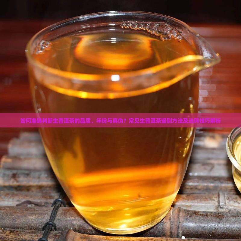 如何准确判断生普洱茶的品质、年份与真伪？常见生普洱茶鉴别方法及选购技巧解析