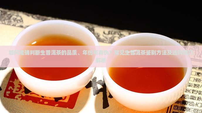 如何准确判断生普洱茶的品质、年份与真伪？常见生普洱茶鉴别方法及选购技巧解析