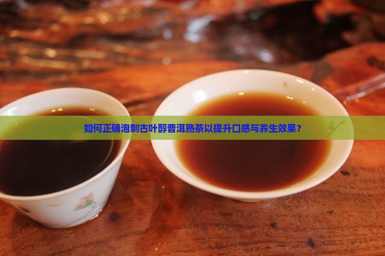 如何正确泡制古叶醇普洱熟茶以提升口感与养生效果？