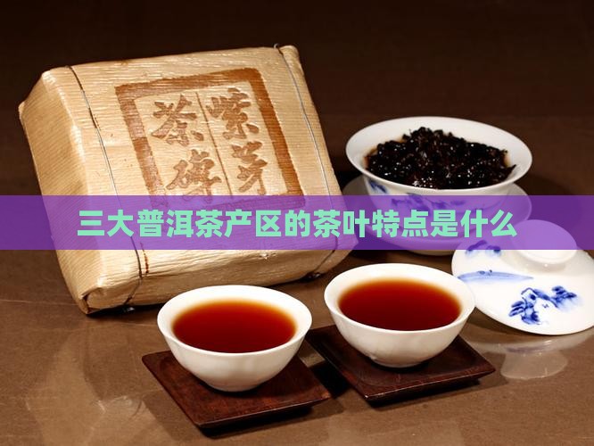 三大普洱茶产区的茶叶特点是什么