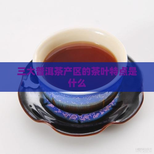 三大普洱茶产区的茶叶特点是什么