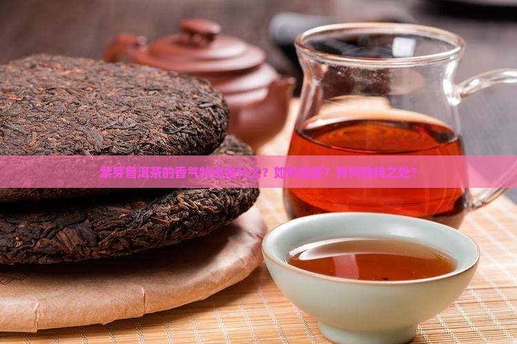 紫芽普洱茶的香气特点是什么？如何品鉴？有何独特之处？