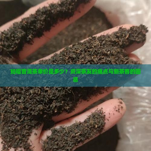 知福普洱茶单价是多少？资深茶友的痛点与新茶客的困惑