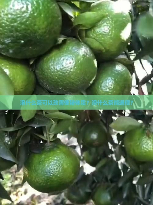 泡什么茶可以改善便秘体质？泡什么茶能通便？