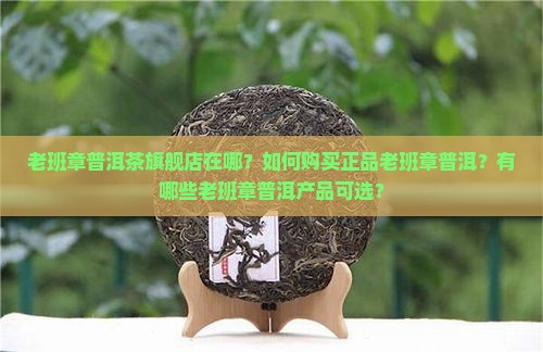 老班章普洱茶旗舰店在哪？如何购买正品老班章普洱？有哪些老班章普洱产品可选？