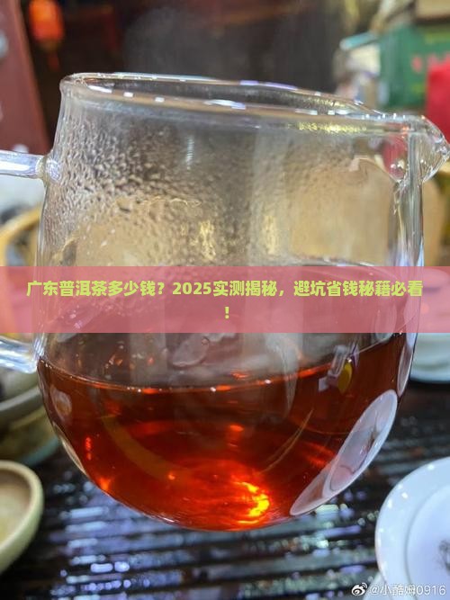 广东普洱茶多少钱