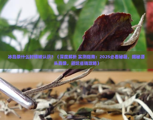 冰岛茶什么时候被认识