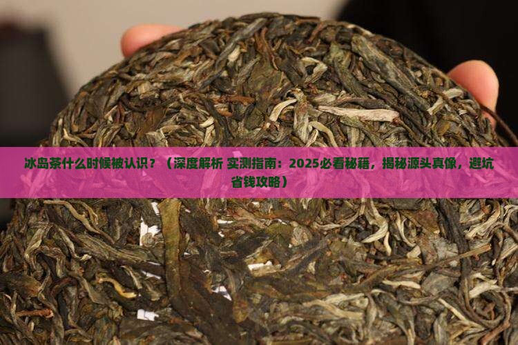 冰岛茶什么时候被认识