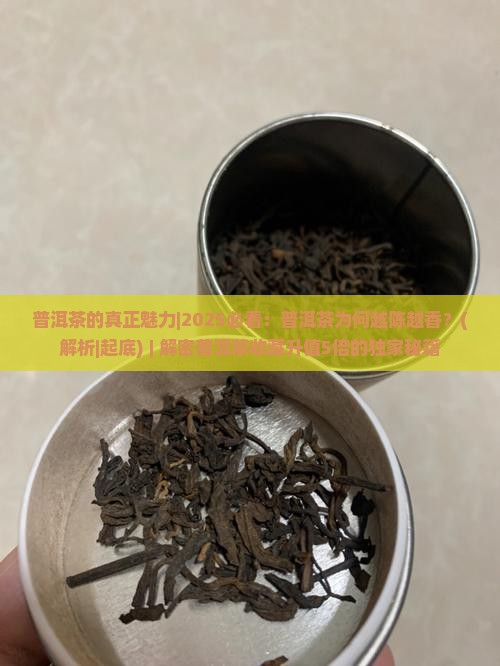 普洱茶的真正魅力