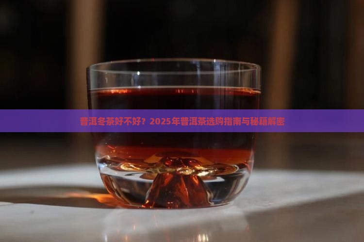 普洱冬茶好不好