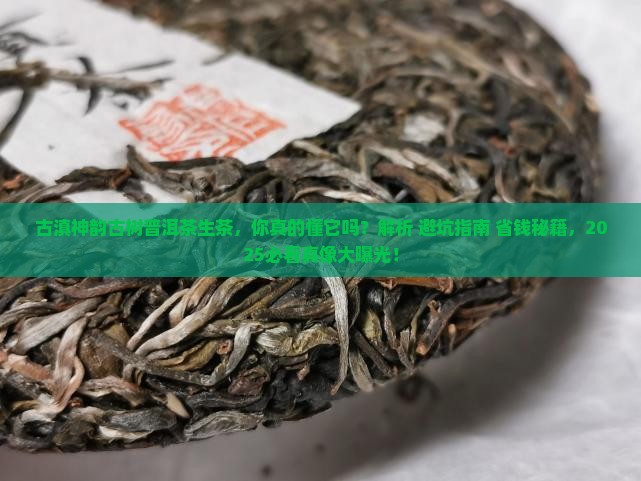 古滇神韵古树普洱茶生茶