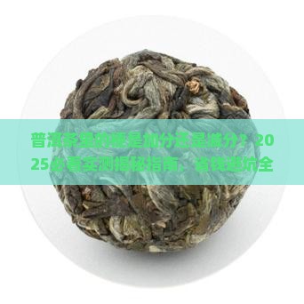 普洱茶里有茶叶梗吗好吗 普洱茶里有茶叶梗吗好吗