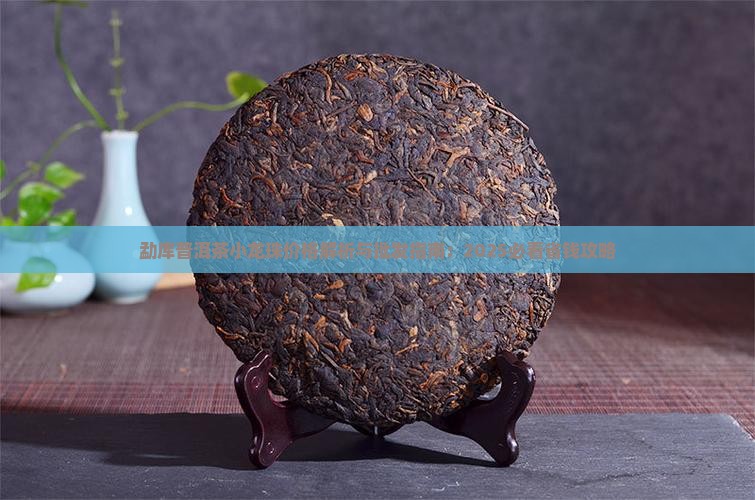 勐库普洱茶小龙珠