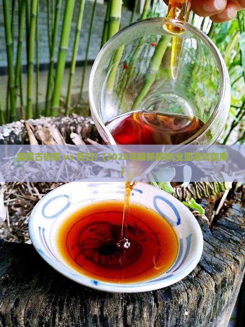 麻黑古树茶和昔归对比