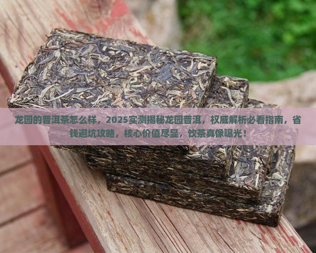龙园的普洱茶怎么样