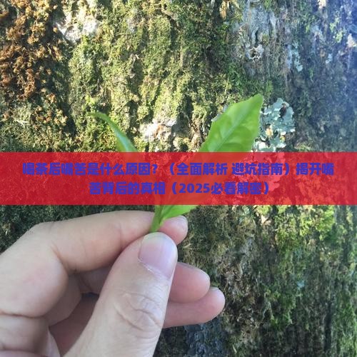 喝茶后嘴苦是什么原因