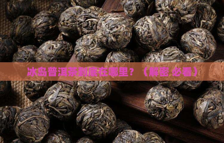 冰岛普洱茶位置