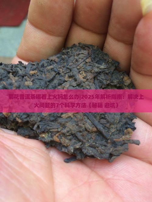 菊花普洱茶喝着上火吗怎么办