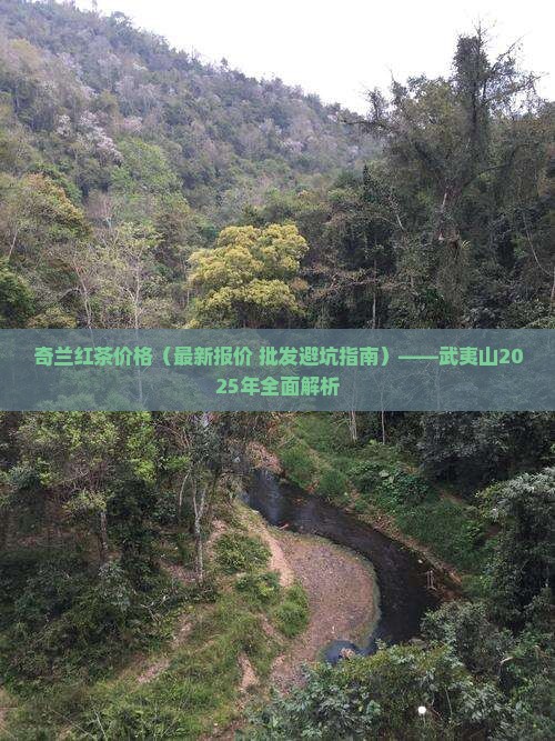 奇兰红茶一斤市场价格