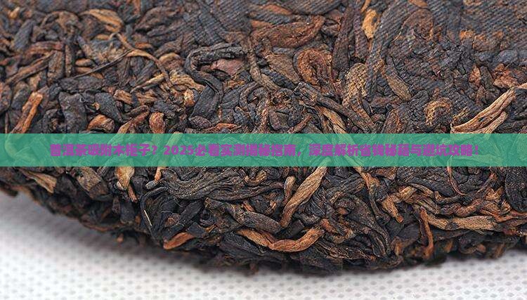 普洱茶吸附木柜子