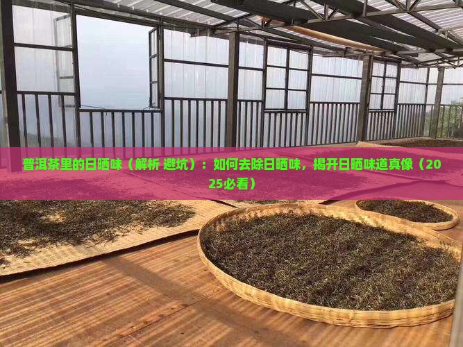 普洱茶里的日晒味