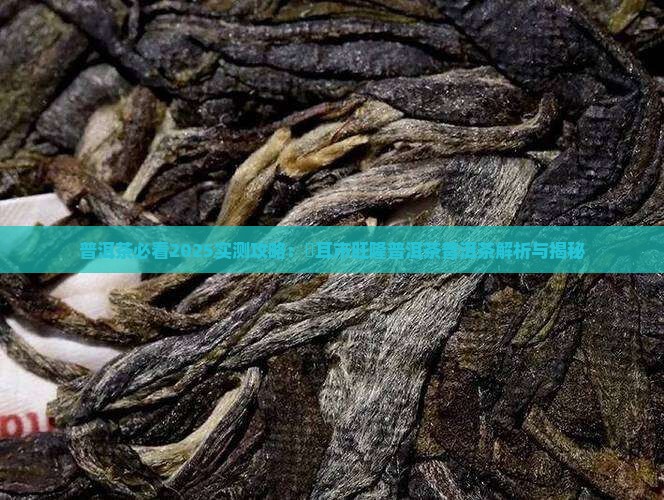 潽耳市旺隆普洱茶