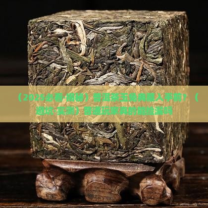普洱茶玉兔典藏