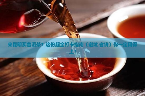 来昆明去哪买普洱茶