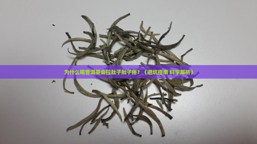 喝普洱茶拉肚子肚子疼 喝普洱茶拉肚子肚子疼